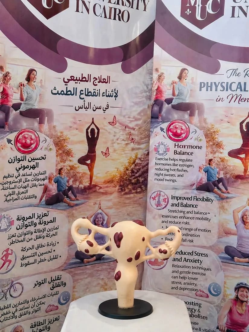 The anatomical model on display at the exhibition